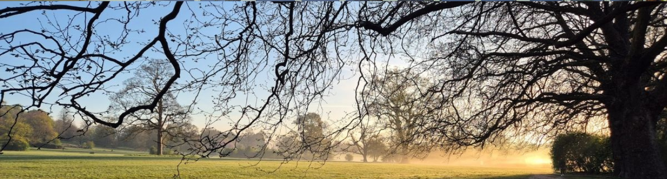 Prospect Park Sunrise